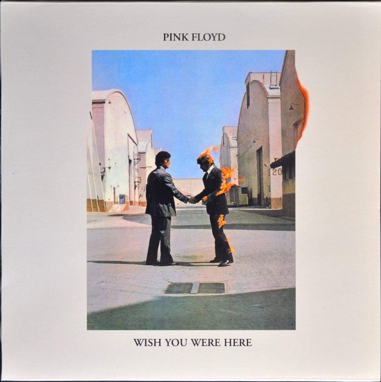 Disco Pink Floyd  Vinyl record art, Pink floyd art, Painted vinyl records