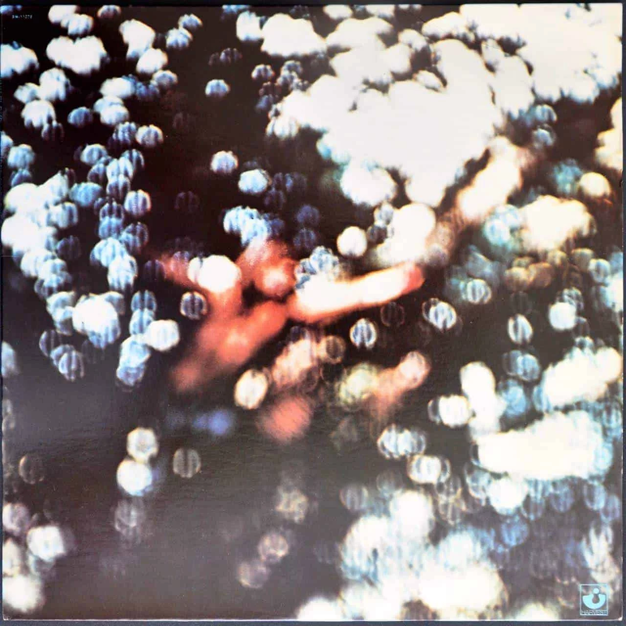 81NlvC2GZdL._UF1000,1000_QL80_.jpg