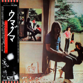 Pink Floyd - Ummagumma (Japanese Pressing)