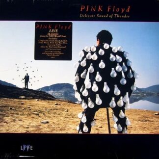 Pink Floyd ‎– Delicate Sound Of Thunder